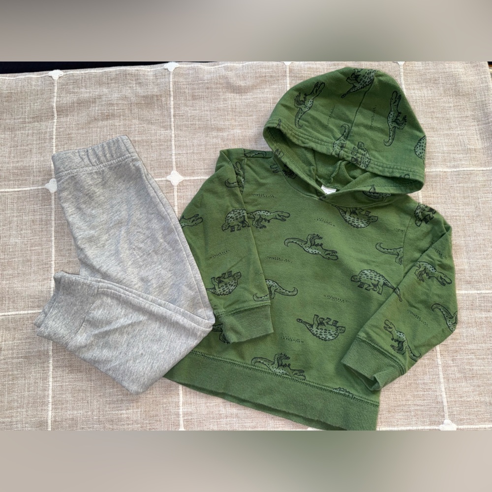 Carter's Green Knit Hoodie